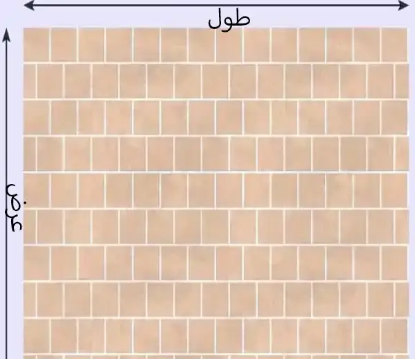 ب.م.م 